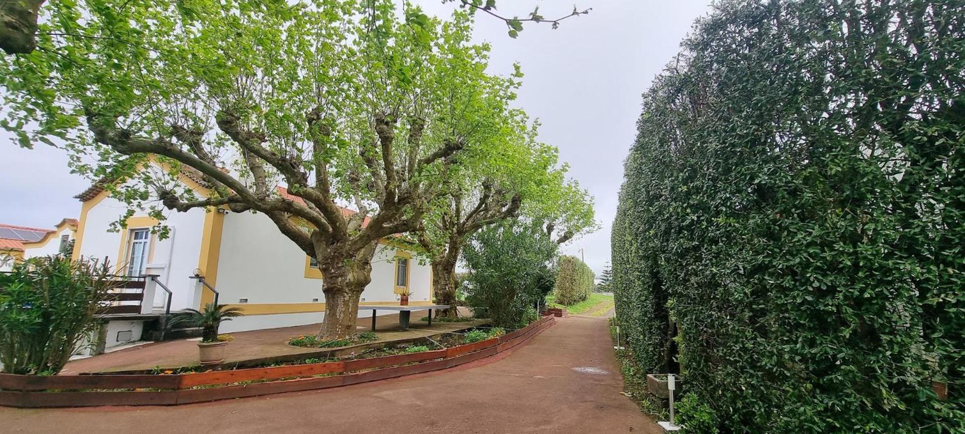 Quinta São José da Relva Ponta Delgada - Açores Exterior foto