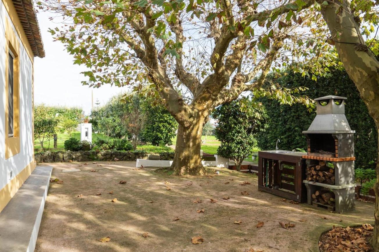 Quinta São José da Relva Ponta Delgada - Açores Exterior foto